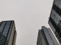 -罗森尼娜(德思勤店)