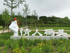 -东郊湿地公园