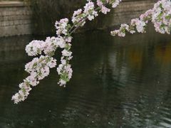 -海棠花溪(元大都城垣遗址公园)