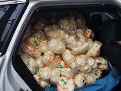 -袁大头包子(光华路店)