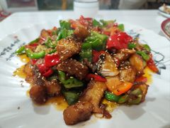 爆炒野生狗鱼块-煲来饱去冷水鱼