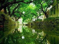 -小洲村