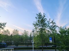 -宝荣鱼馆·临湖之宴(千岛湖店)