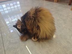 -雪月花(长江北路店)