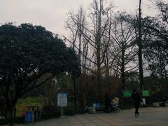 -龙头寺公园