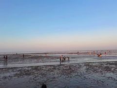 -南汇嘴观海公园