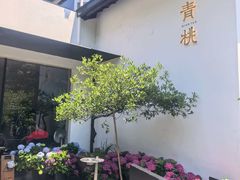 -青桃餐厅