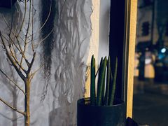 -Apollo·西班牙小酒馆(安福路店)