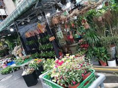 -循礼门鲜花花市(武汉循礼门店)