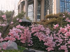 -郑州银基黄帝宫御温泉