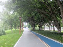 -眉山湿地公园(东坡区)