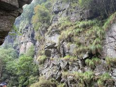 -石台牯牛降景区