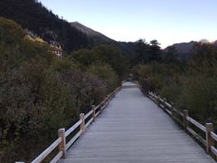 -稻城亚丁景区-冲古草甸