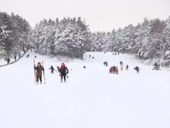 -长春莲花山滑雪场