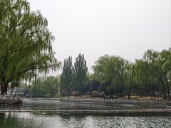 -皇家御河游(紫御湾码头)