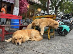 -八木轩·寻味大理白族民俗餐厅(文献路店)