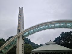-南山植物园