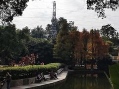 -晓港公园
