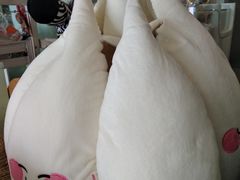 -70cat德文卷毛猫·缅因猫纯种猫舍