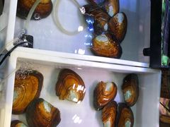 -十八字金·银饰·拼豆·开蚌DIY(魏公芳华里店)
