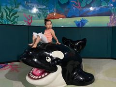 -青岛嘉年华主题乐园