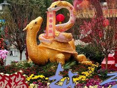 -越秀西湖花市(广州城市广场花卉店)