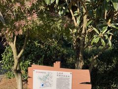 -九龙潭景区