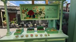 -青稚护手霜QINGZHI