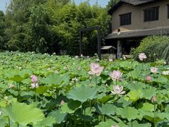 -百翠山居.家飨餐厅