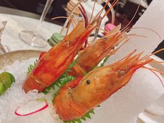 -人间采蜜(海信广场店)