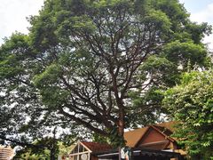 -Cheevit Cheeva(Sirimangkalajarn)