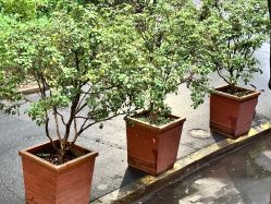 -CASTER跳舞俱乐部