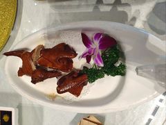 红烧乳鸽装-光明招待所(邦凯科技园店)