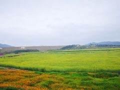 -光明小镇欢乐田园