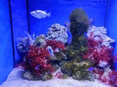 -多彩贵州城极地海洋世界