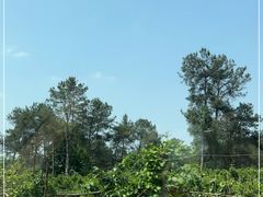 -樱桃山旅游景区