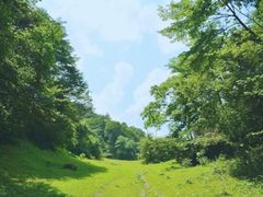 -水磨沟环境自然保护区