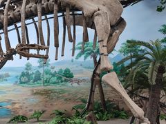 -延庆地质公园博物馆