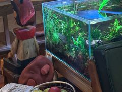 -懒鱼时光馆(沙坪坝店)