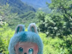 -大岭沟猕猴桃谷风景区