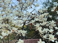 -中国茶叶博物馆(双峰馆区)