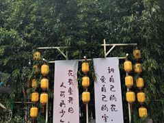 -郑州方特欢乐世界