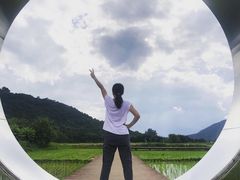 -艾米稻香小镇