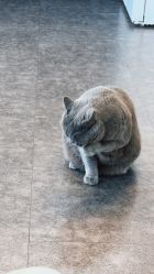 -飛凡TATTOO纹身•原创