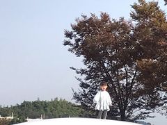 -上海月湖雕塑公园