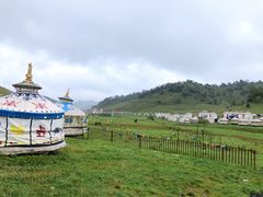 -关山牧场王师烤全羊