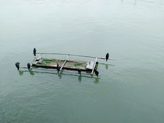 -新安江山水画廊风景区