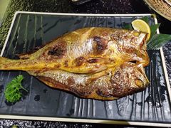 -樱嘢·炭火烧肉(惠南店)