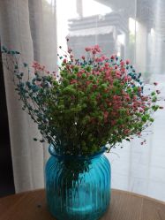 -海茱雅科技健康美容