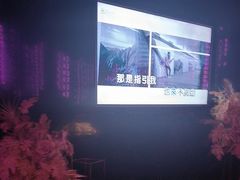 -黑桃K生日订制KTV